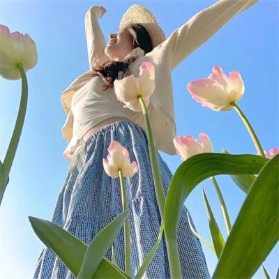 侦探的侦探